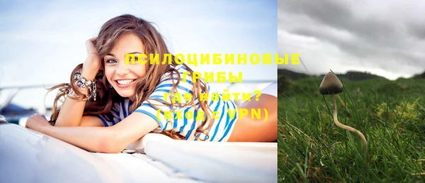 стафф Верхний Тагил