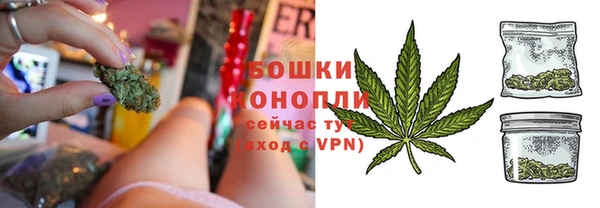 ПСИЛОЦИБИНОВЫЕ ГРИБЫ Сосновка