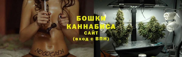 ПСИЛОЦИБИНОВЫЕ ГРИБЫ Сосновка
