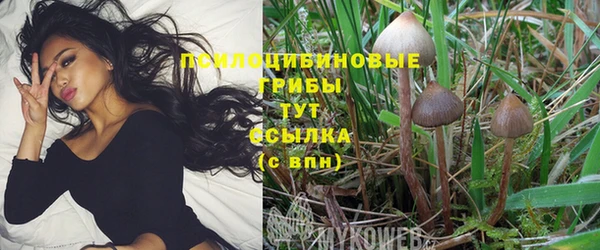 стафф Верхний Тагил