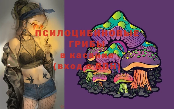 jwh Сосновоборск
