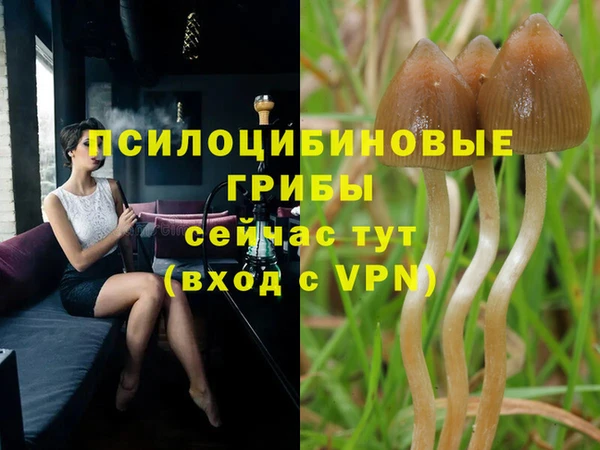 стафф Верхний Тагил