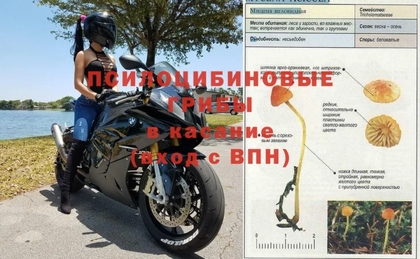 jwh Сосновоборск