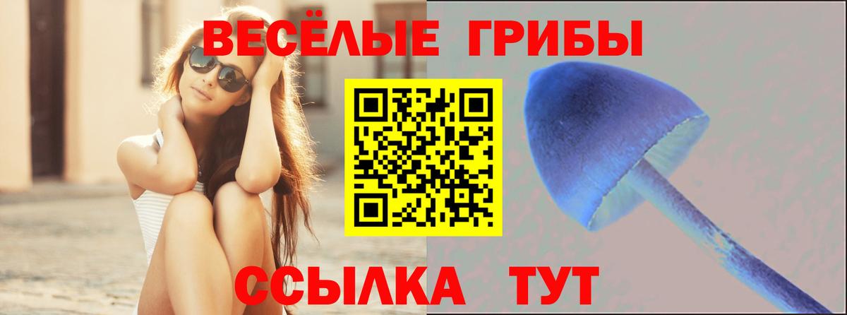 Псилоцибиновые грибы MAGIC MUSHROOMS  Вход с VPN  Псилоцибиновые грибы GOLDEN TEACHER  Можайск 